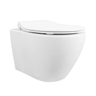 DEERVALLEY Liberty Wall-Mounted 1-Piece 0.81.6 GPF Dual Flush Elongated Toilet in White DV-1F0069