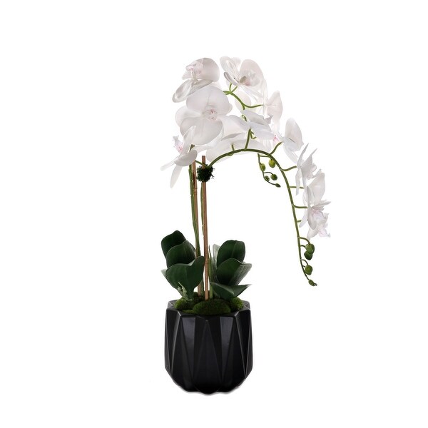 Real Touch Phalaenopsis Orchids in Black Dimensional Pot