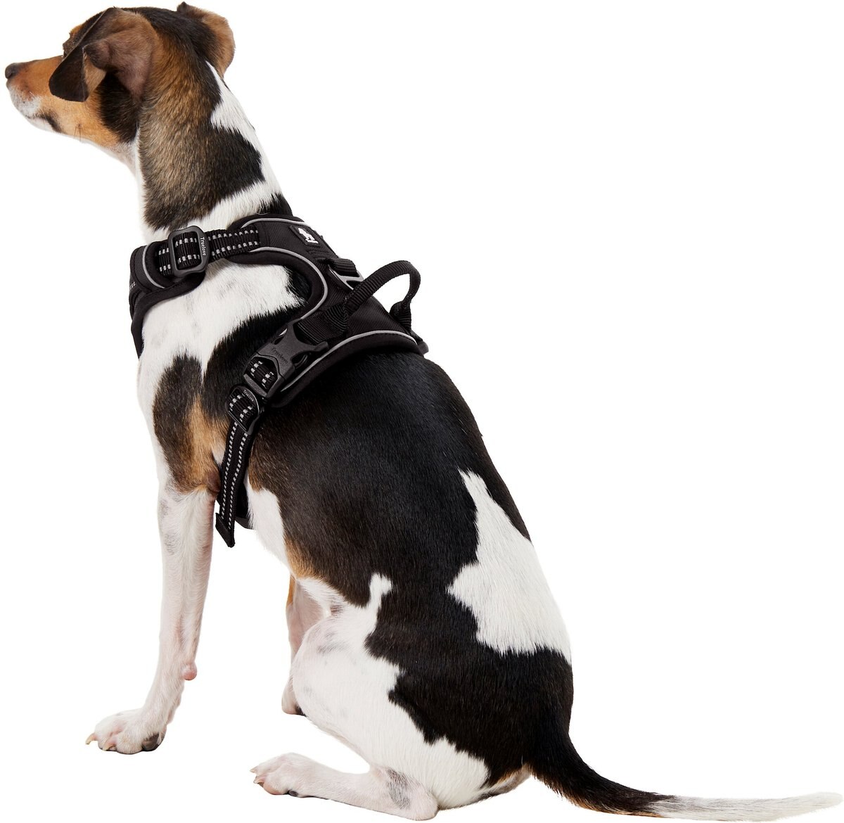 Chai's Choice Premium Outdoor Adventure 3M Polyester Reflective Front Clip Dog Harness