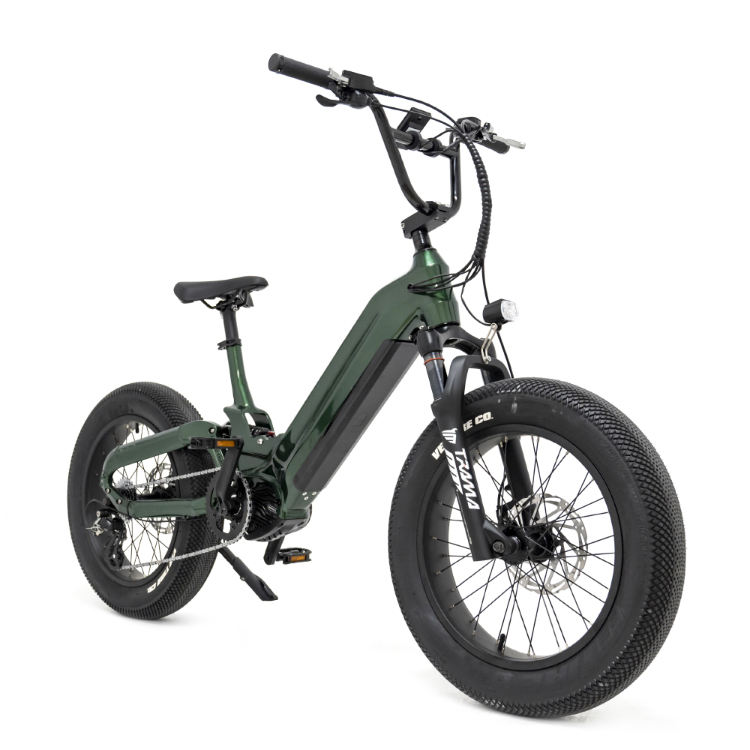 Mario Electric Bicycle 48v 250w Mid Drive Motor City E Bike Electric Road Cycling For Adult