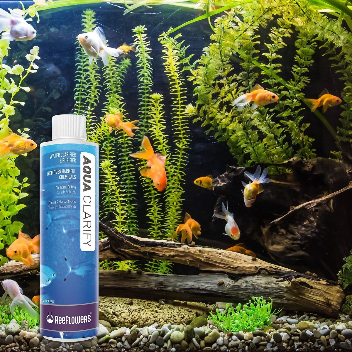 ReeflowersAqua Clarify Aquarium Water Clarifier and Purifier