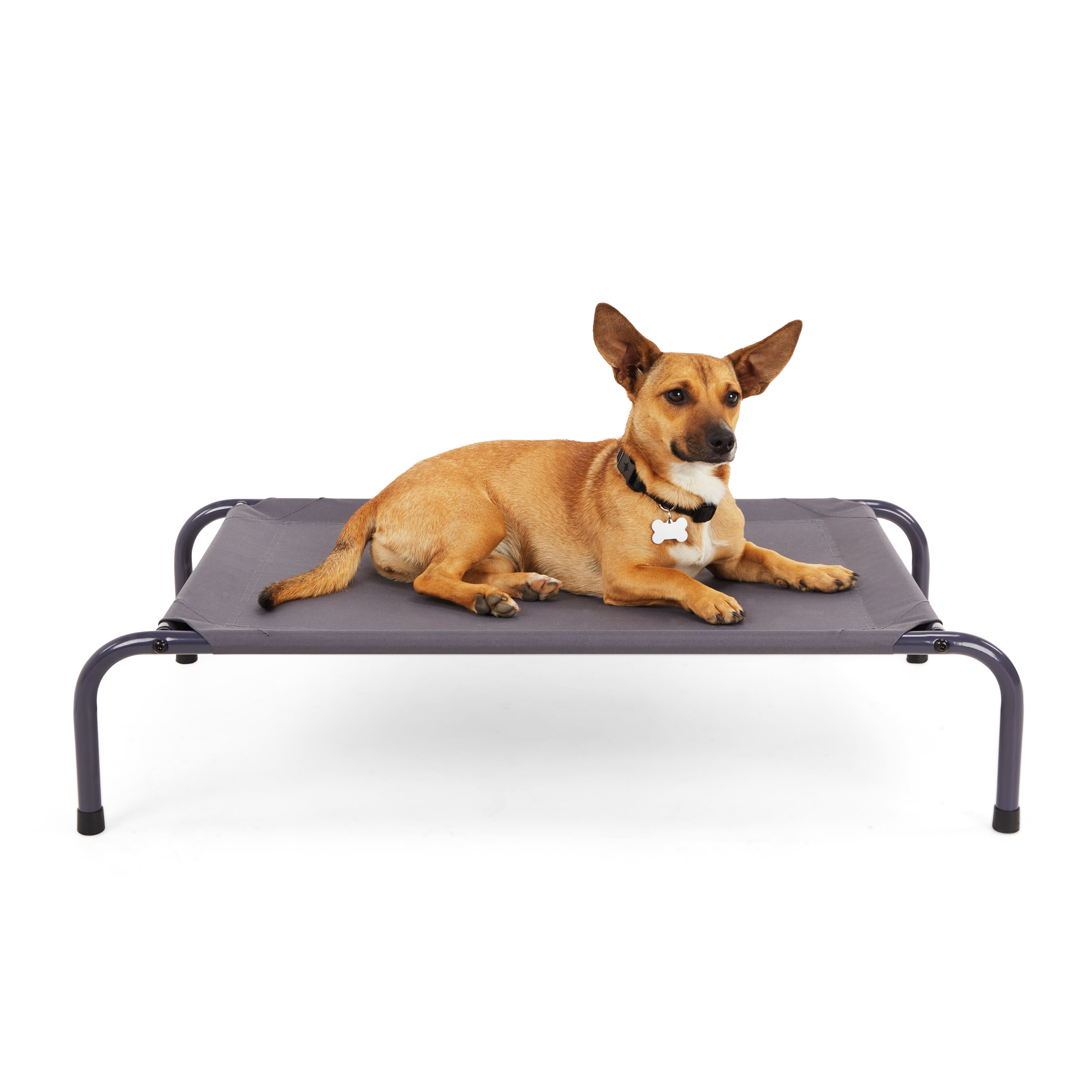 EveryYay Essentials Elevated Dog Cot， 30