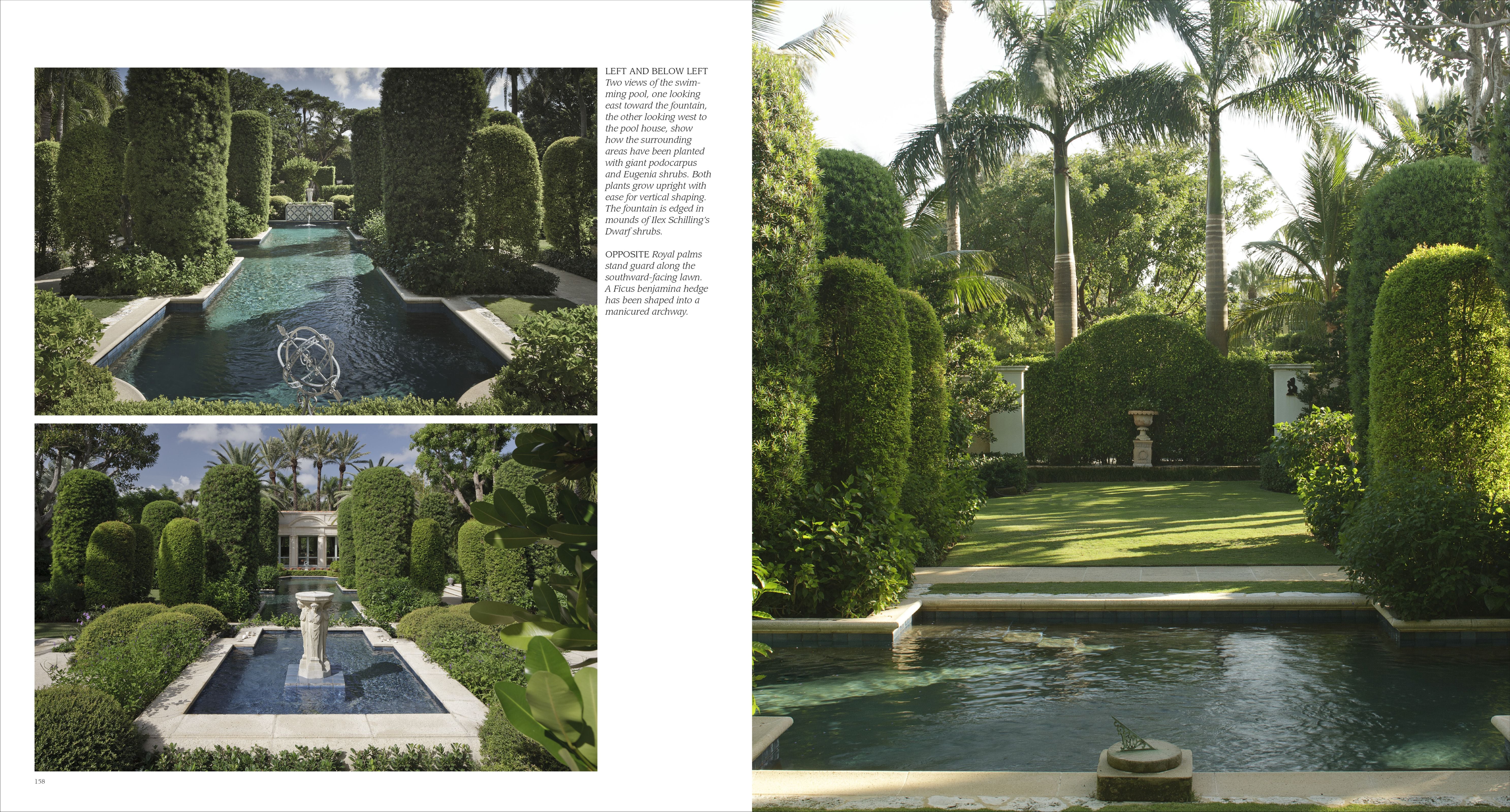 Forever Green: A Landscape Architect's Innovative Gardens Offer Environments to Love and Delight by Mario Nievera