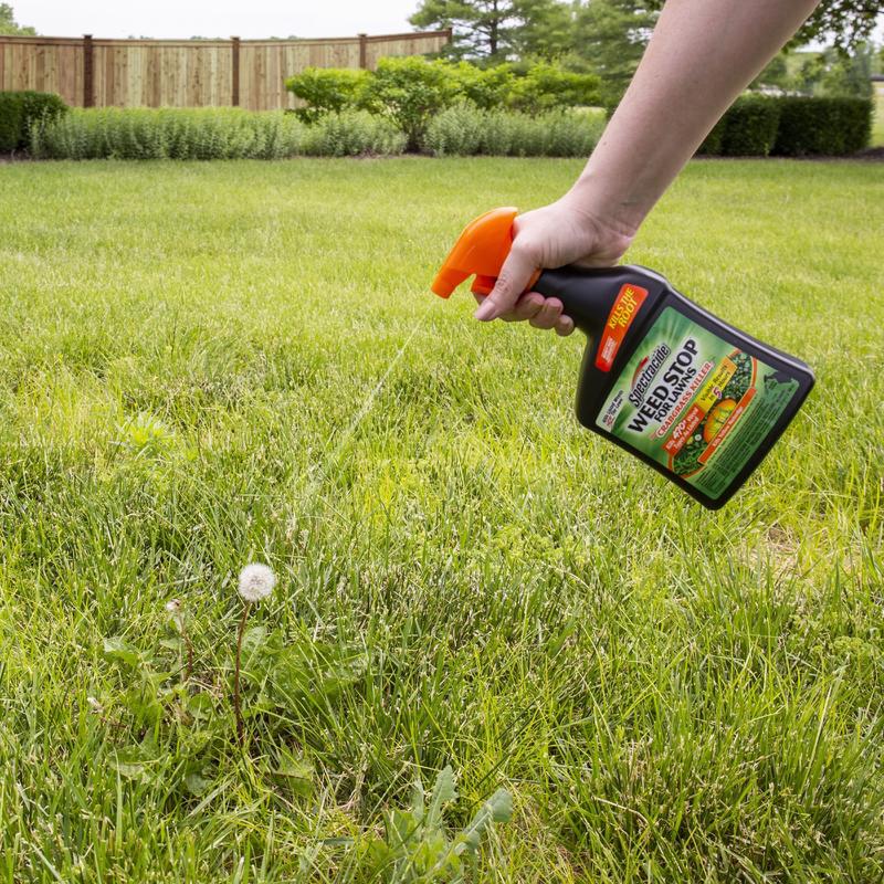 WEED STOP LAWN 32OZ RTU