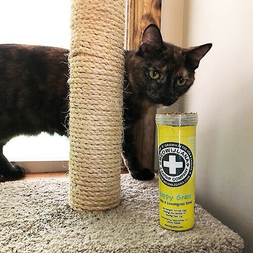 Meowijuana Happy Grass Lemongrass Blend Catnip， 0.92-oz bottle