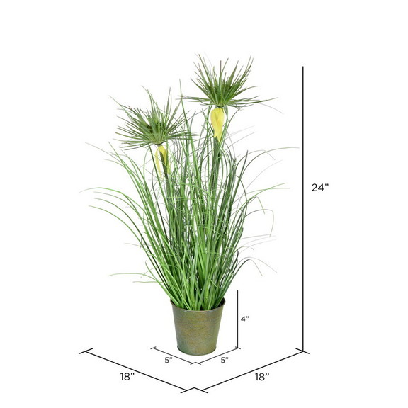 Vickerman Green Cyperus Grass In Iron Pot