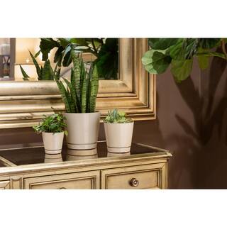 Trendspot 6 in. Oatmeal Knack Ceramic Planter Set of 2 ECR01721S-06W2