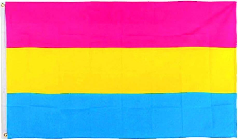 3x5 Ft Pansexual Pride Flag   Omnisexual Lgbt Flag   Rainbow Flag   Bright Colors And Anti fading Materials   Quality Assurance