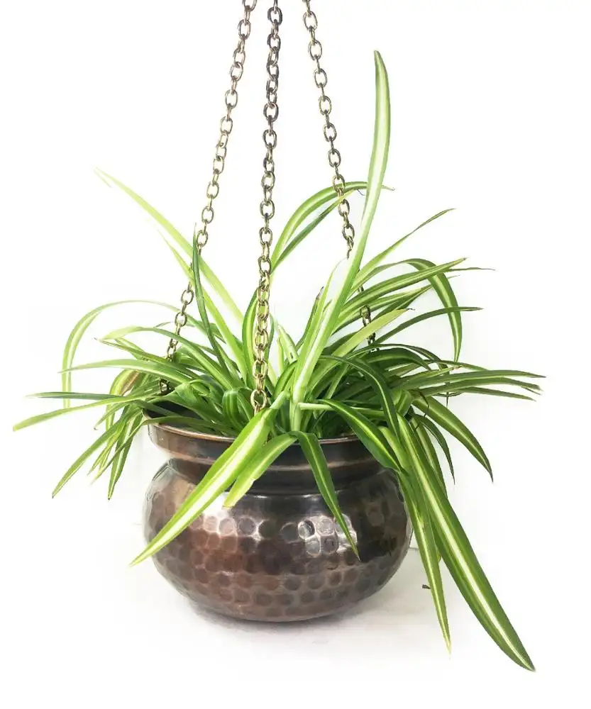 Handmade Hand Hammered Antique Look Flower Pot With Copper Hanging 11cm 15cm 17cm 20cm