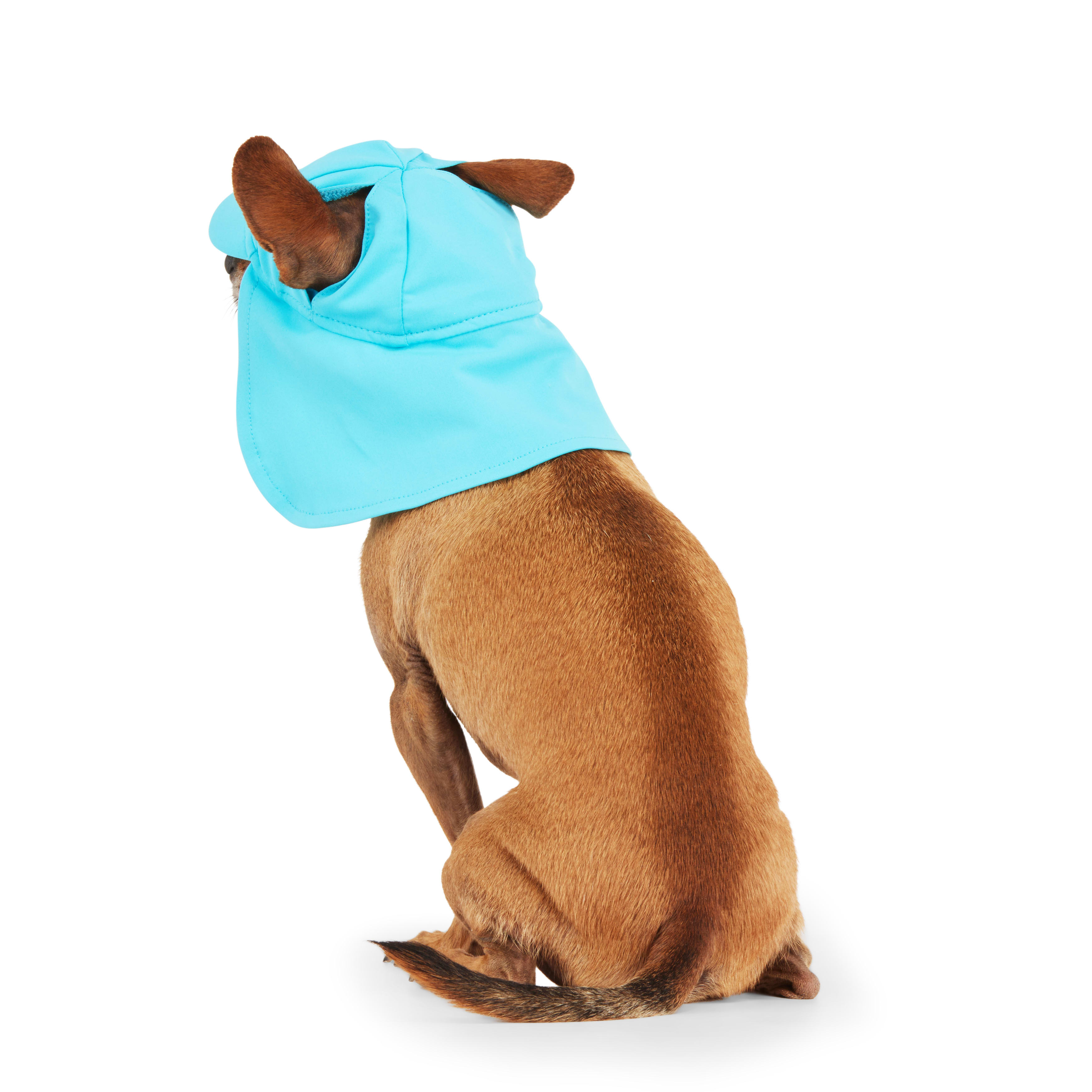 YOULY Blue Cooling Sun Visor for Dogs， X-Small/Small