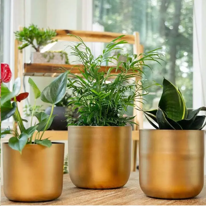 Durable Quality Set of Two Metal Planters for Garden Home Decorative Plant Custom Shape Flower Pot Luxury Floor Planter