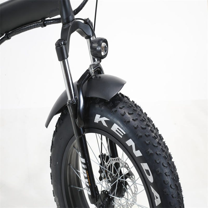 FACTORY 1000W Adult Beach Snowmobile Electric Mountain Fat Bike Electrical Bicycle e bikes cycle bicycles