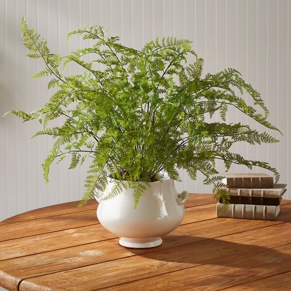 Soft Fern DropIn 36