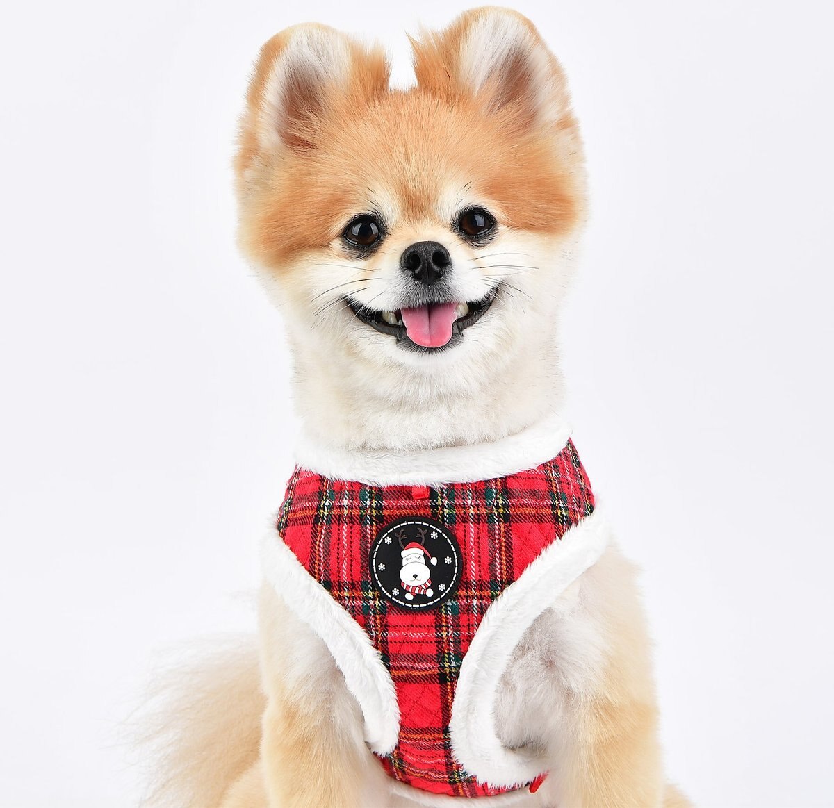 Puppia Blitzen A Dog Harness