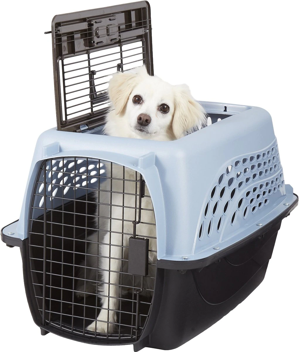 Petmate Two Door Pet Kennel for Pets up to 15 Pounds， Medium Blue