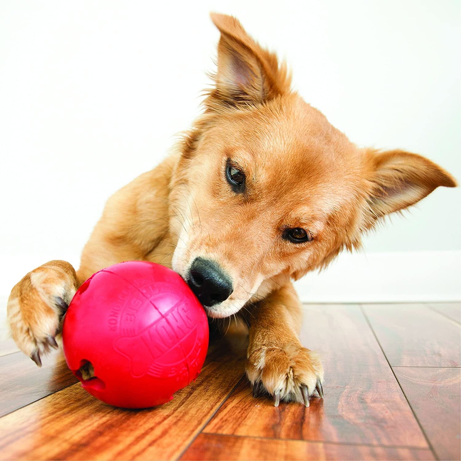 KONG - Biscuit Ball - Durable Rubber， Treat Dispensing Toy - for Large Dogs