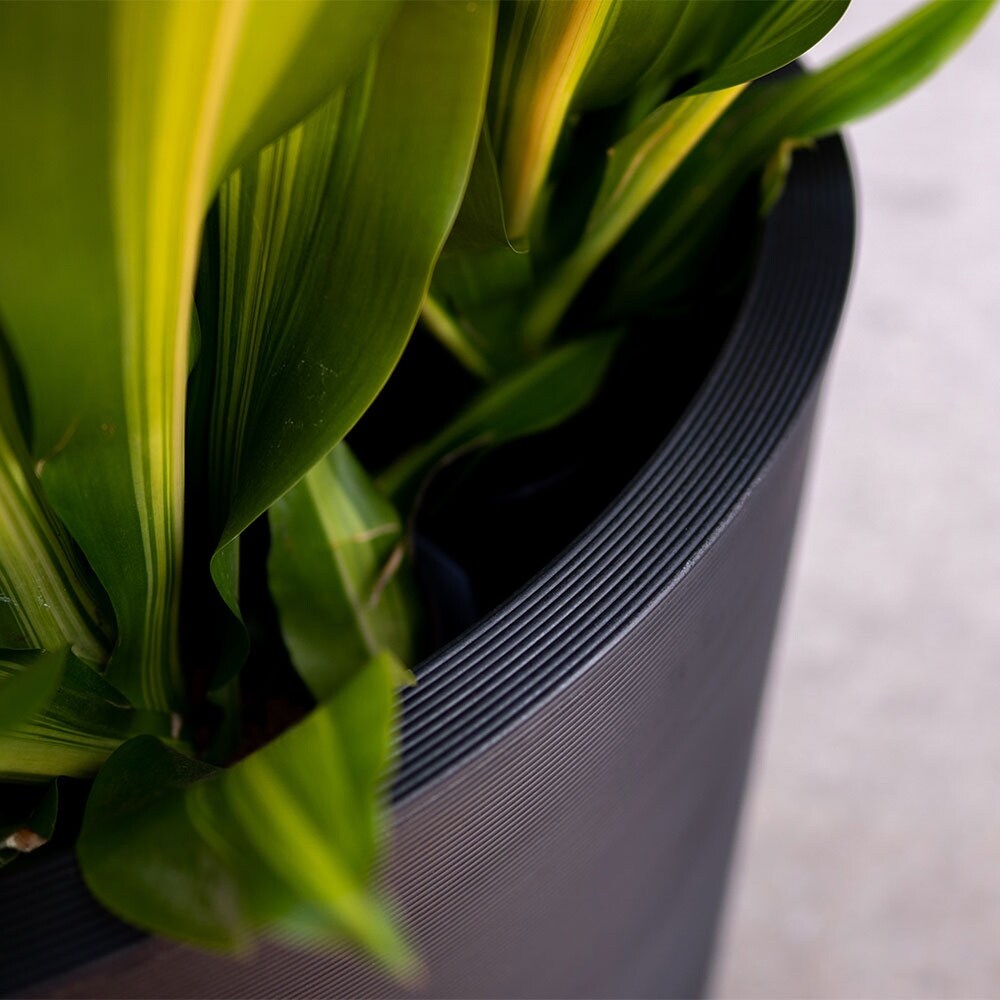 Curve 30'' GROOVED Planter