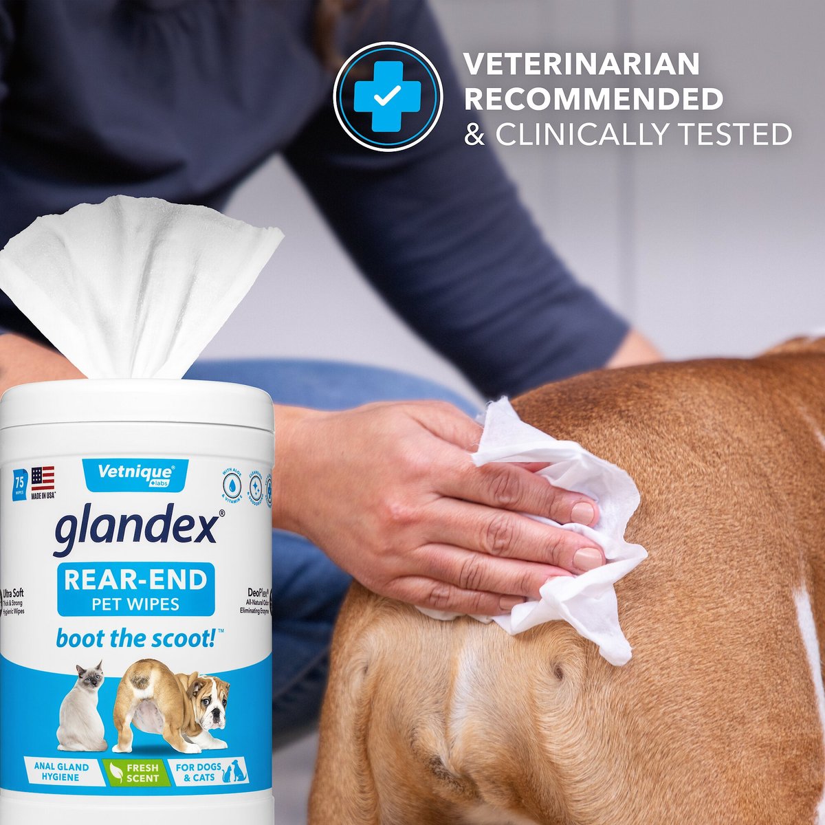 Vetnique Labs Glandex Wipes Cleansing and Deodorizing Anal Gland Hygienic Rear End Dog and Cat Wipes