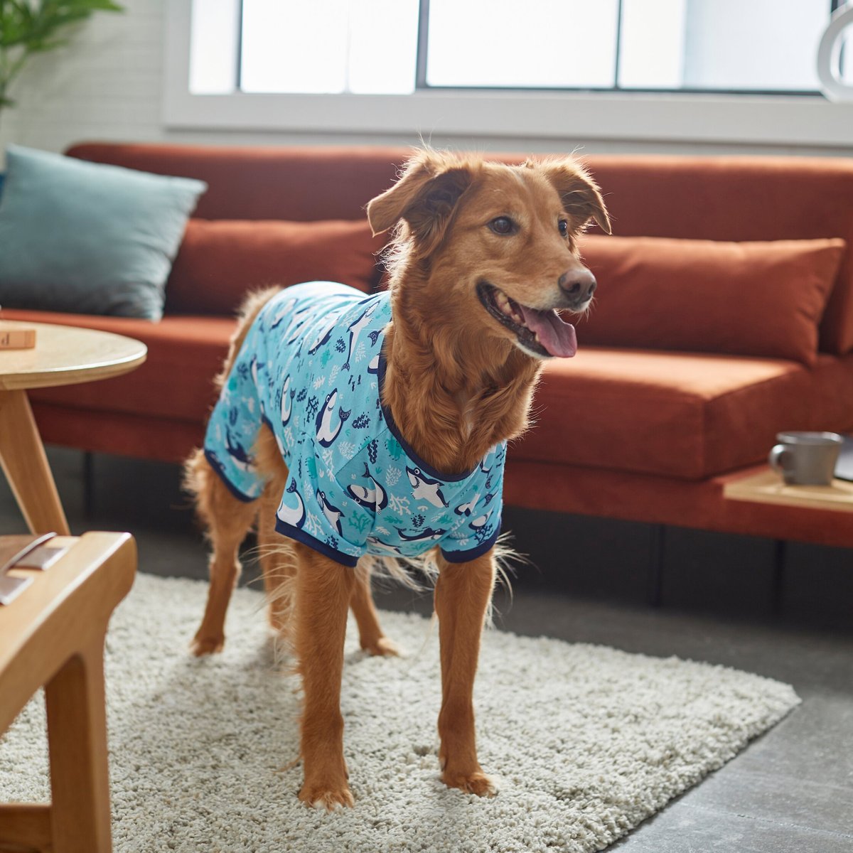 Frisco Happy Shark Dog and Cat Jersey PJs