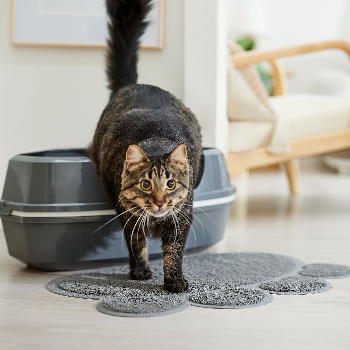 Frisco Paw Shaped Cat Litter Mat