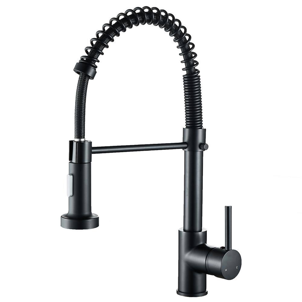 Zalerock Springs Single-Handle Pull-Down Sprayer Kitchen Faucet with Deckplate Included in Matte Black WC05T023