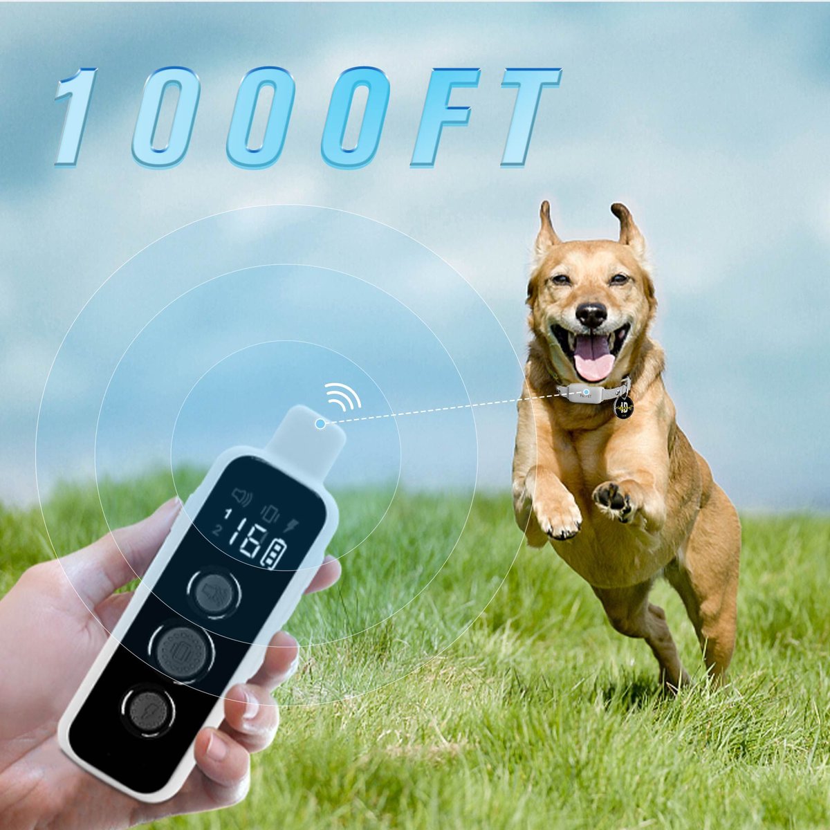 PATPET NFC ID Pet Tag and P650 1000-ft Remote Dog Training Shock Collar， Gray