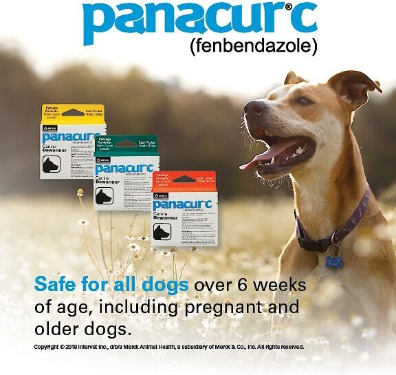 Panacur C Canine Dewormer， 1-g， 3 count