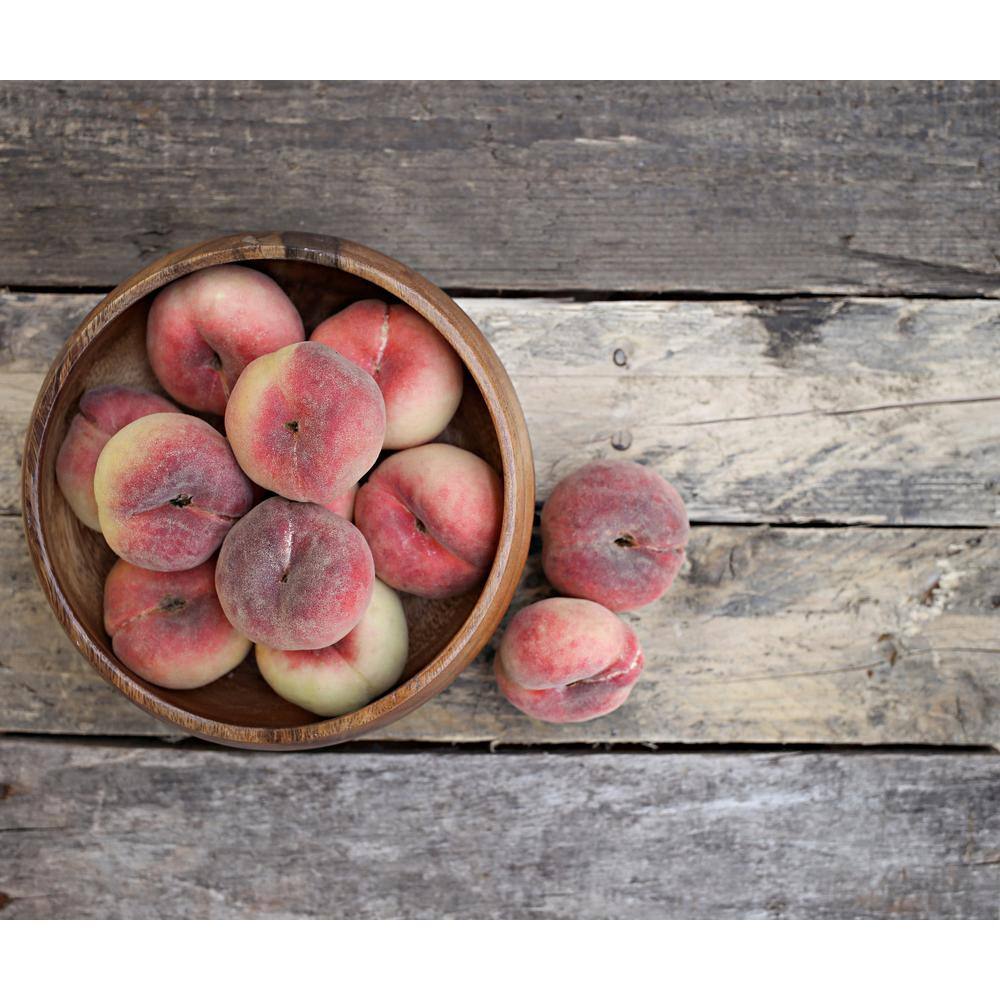 Online Orchards White Gold Peach Tree Bare Root FTPE003