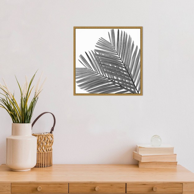 X 16 quot Palm I By Mia Jensen Framed Wall Canvas Black white Amanti Art