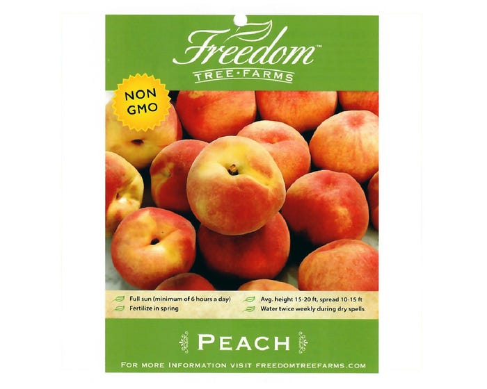 Freedom Tree Farms Big Red Yellow Peach Tree in 5 Gallon Bucket