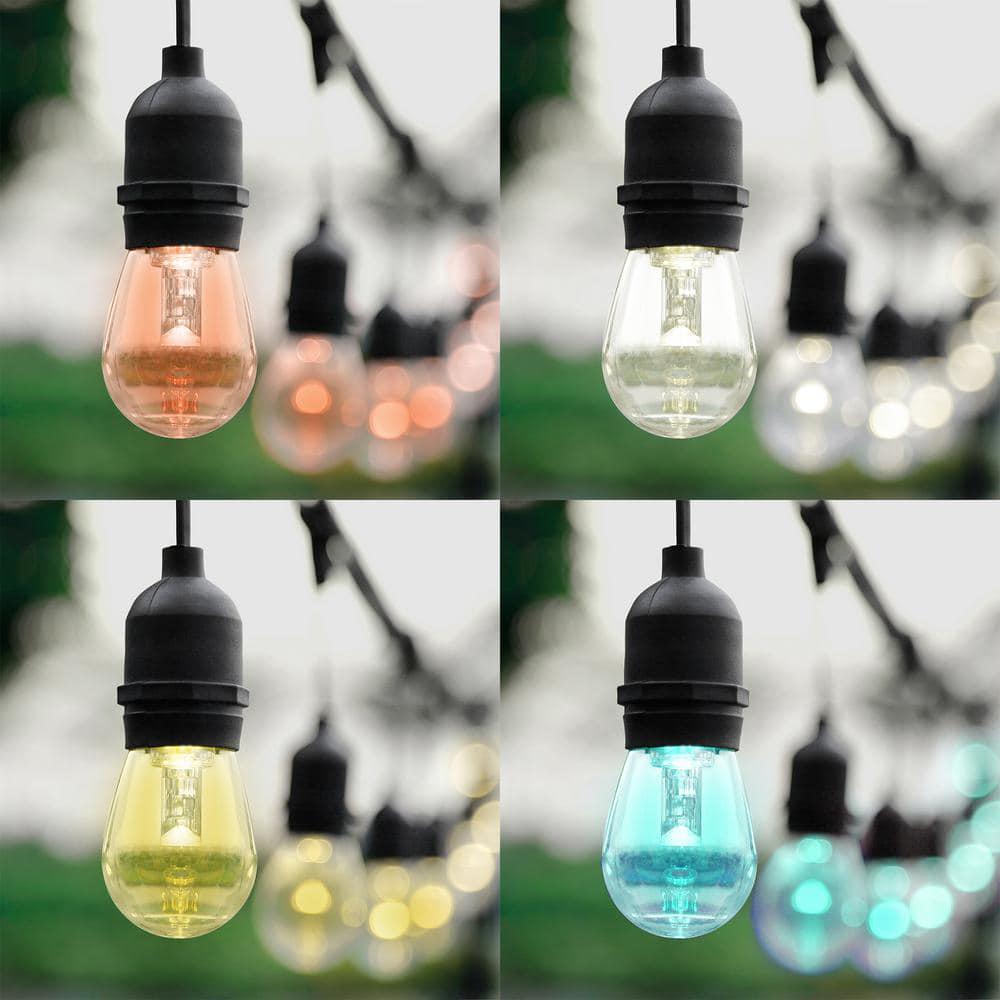 OVE Decors Outdoor 48 ft PlugIn S14 Bulbs RGB String Light with Remote Control