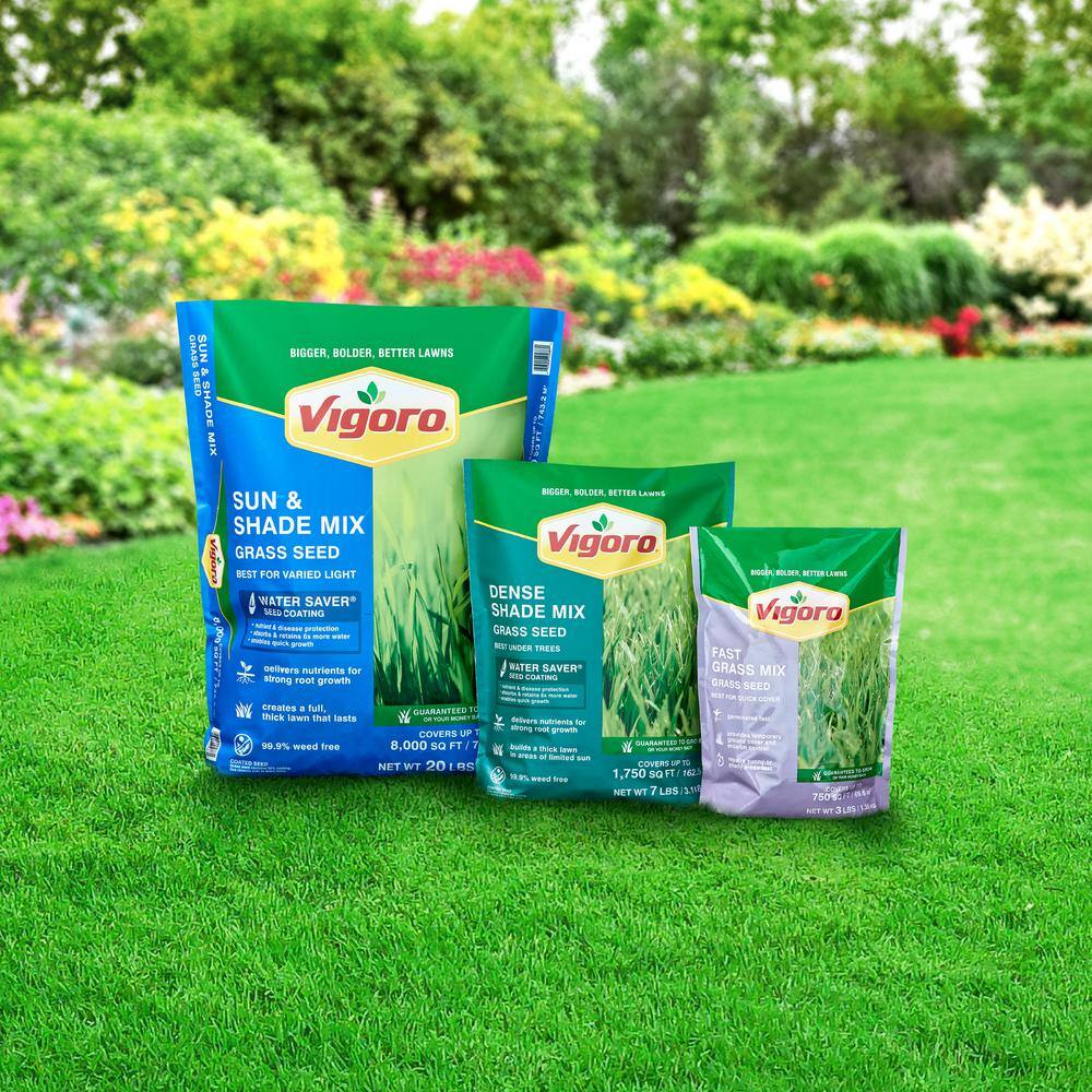 Vigoro 7 lbs. Dense Shade Grass Seed Mix with Water Saver Seed Coating 25690