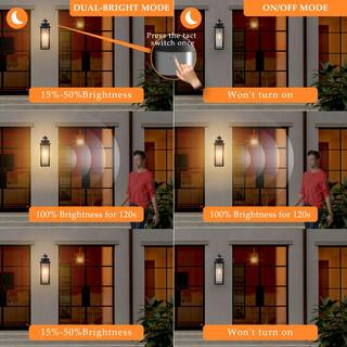 C Cattleya Black Motion Sensing Dusk to Dawn Outdoor Hardwired Wall Lantern Sconce with Seeded Glass Shade and No Bulbs Included HCA2344-W