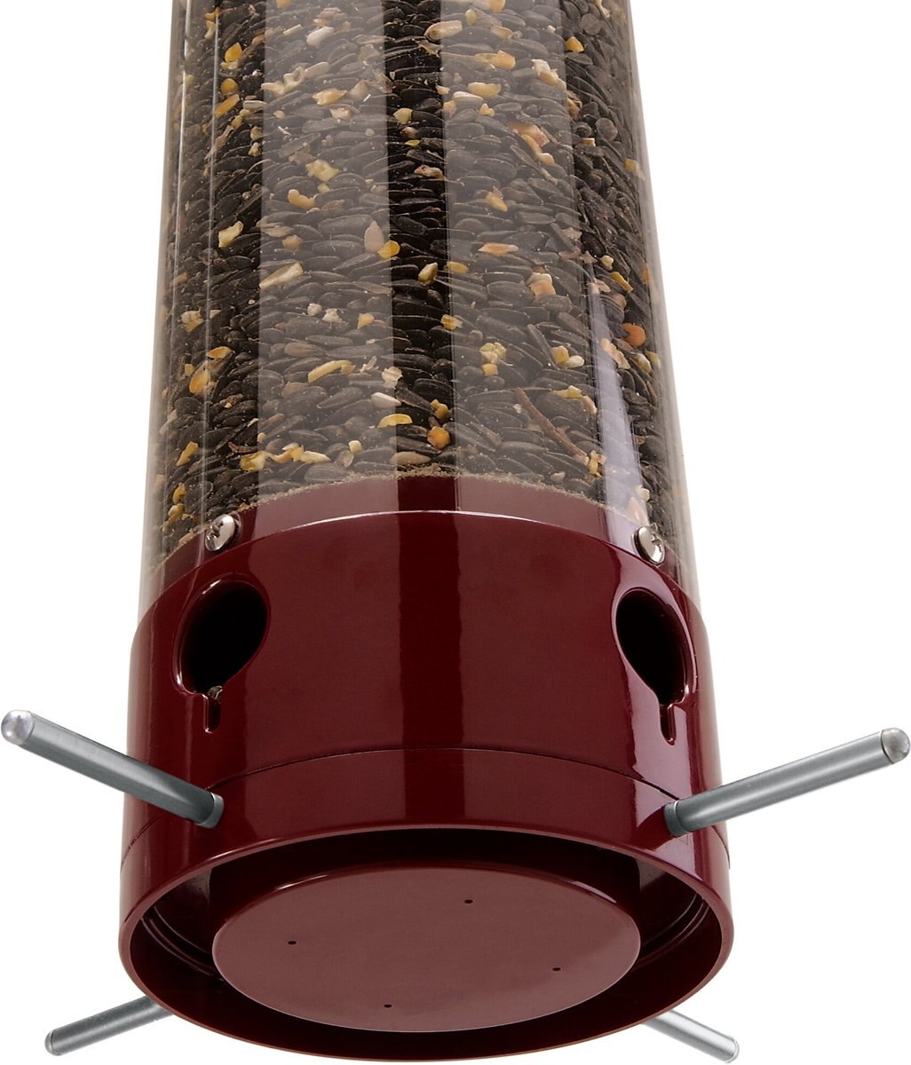 Droll Yankees Yankee Dipper Collapsing Straight Perch Bird Feeder， 21-in