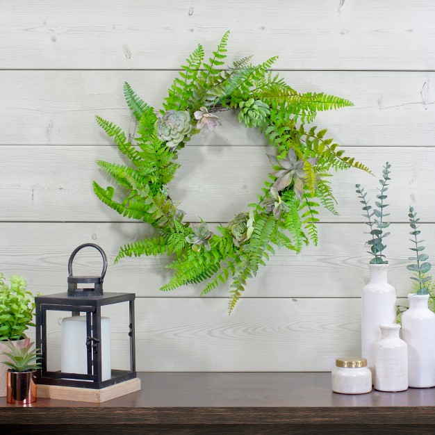 Northlight Succulents And Foliage Artificial Spring Twig Wreath Green 22 inch