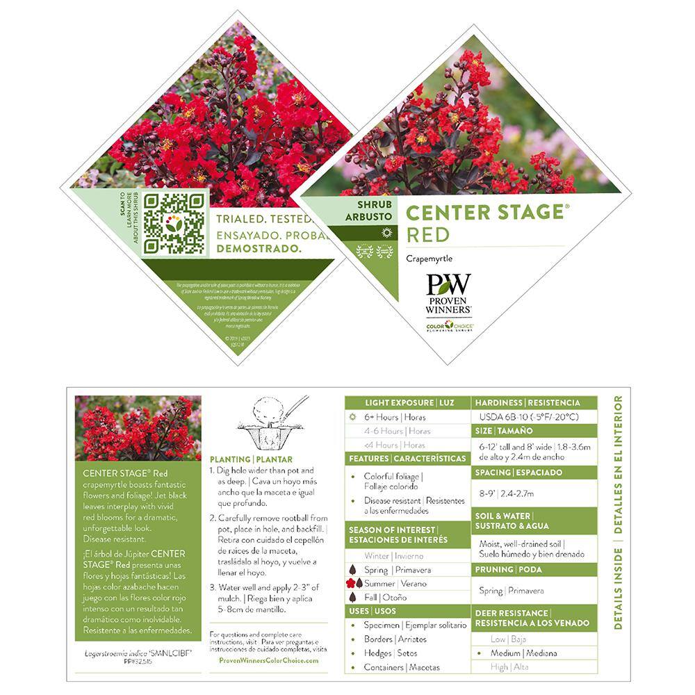 PROVEN WINNERS 2 Gal. Center Stage Red Crape Myrtle Tree with Bright Red Flowers 16887