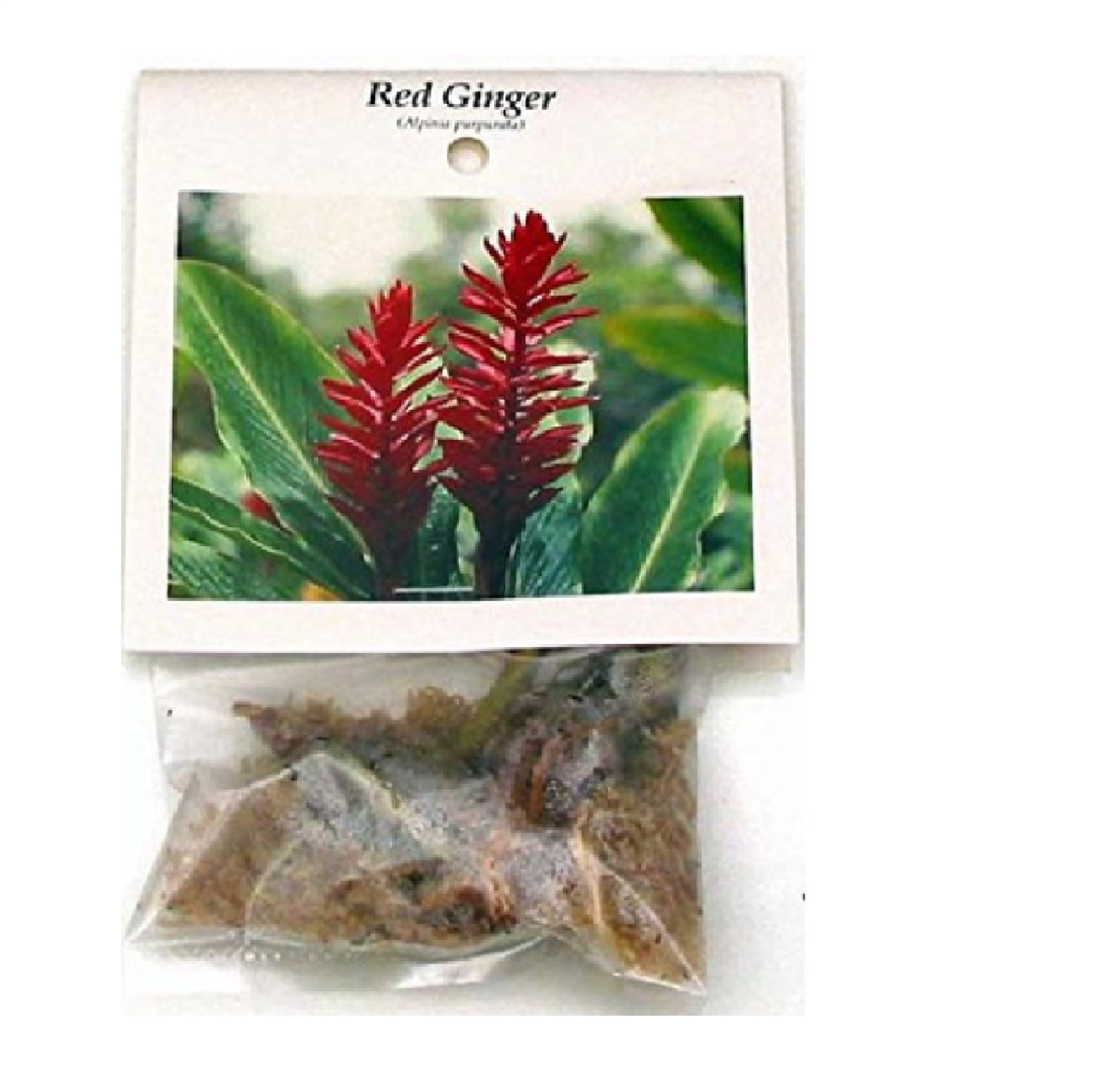 Live Red Ginger Plant Root 1 Pk (2 Roots Each 2