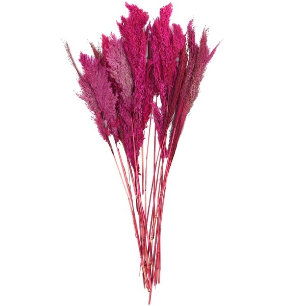 Pink Dried Plant Pampas Home Decor Natural Foliage with Long Stems