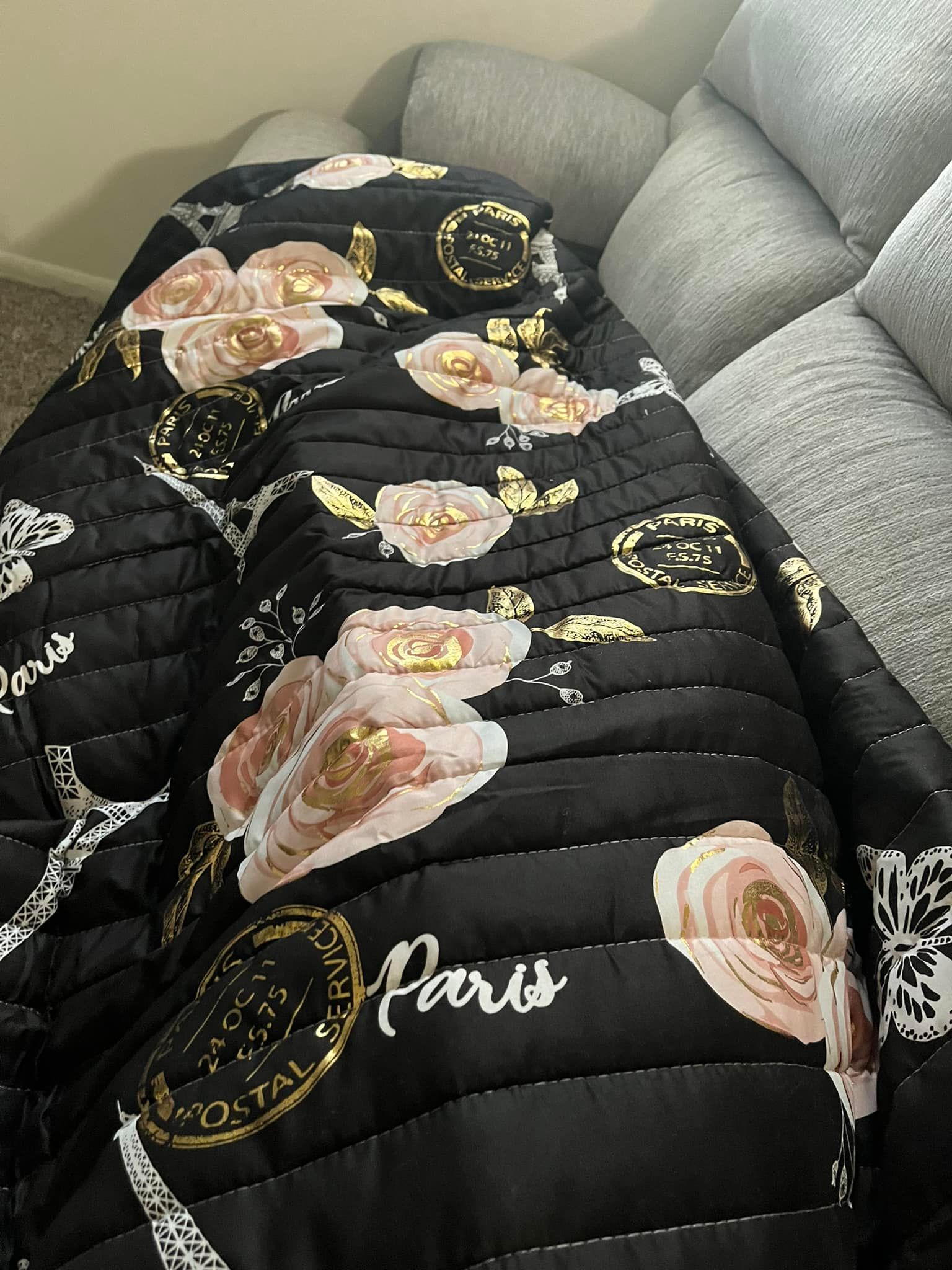 Vintage Paris Rose Butterfly Script Throw