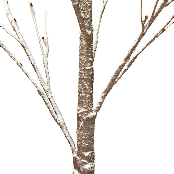 Vickerman 4' Brown Frosted Twig Tree，Warm White 3mm Wide Angle LED lights