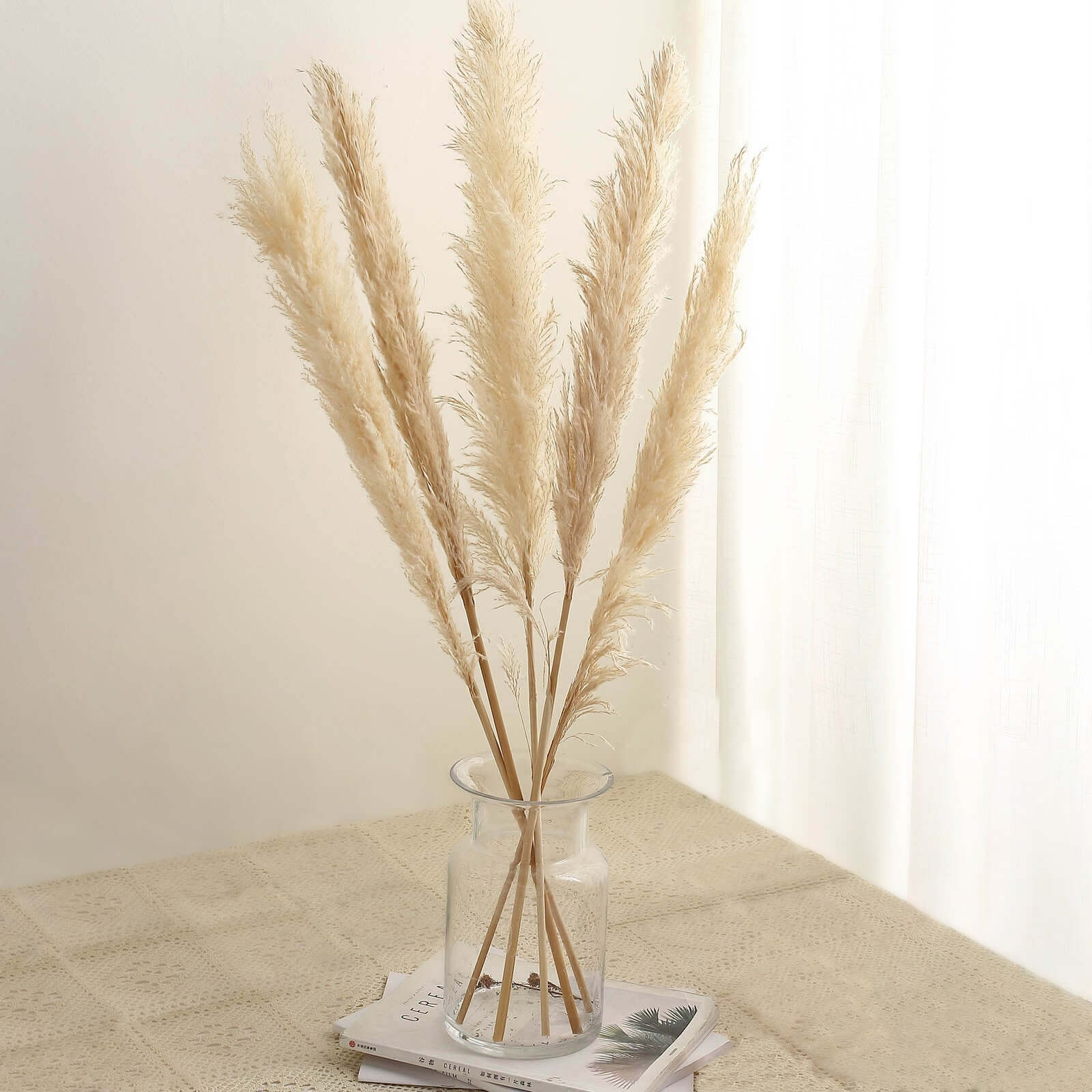 6 Stems Wheat Tint Dried Natural Pampas Grass Plant Sprays 49