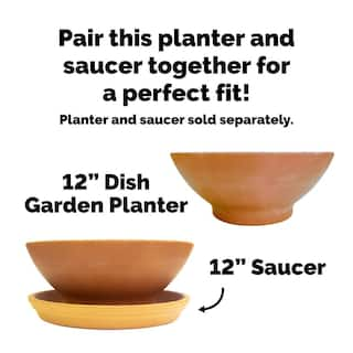 Pennington 12 in. Medium Terra Cotta Clay Dish Garden Planter 100021298