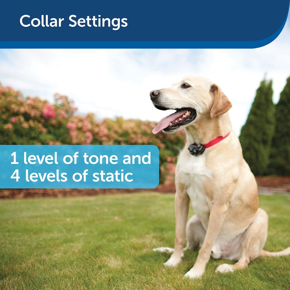 PetSafe In-Ground Fence System