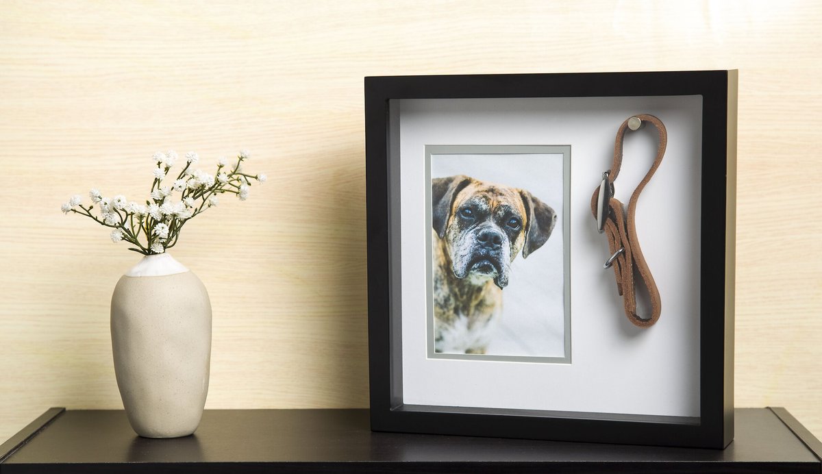 Pearhead Pet Collar Frame