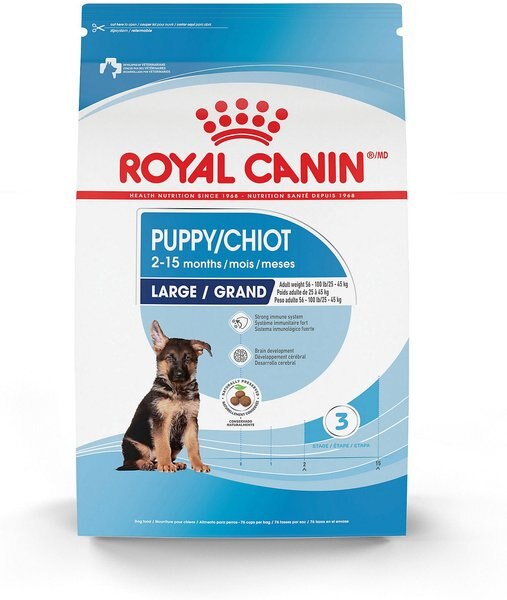 Royal Canin Size Health Nutrition Large Puppy Dry Dog Food