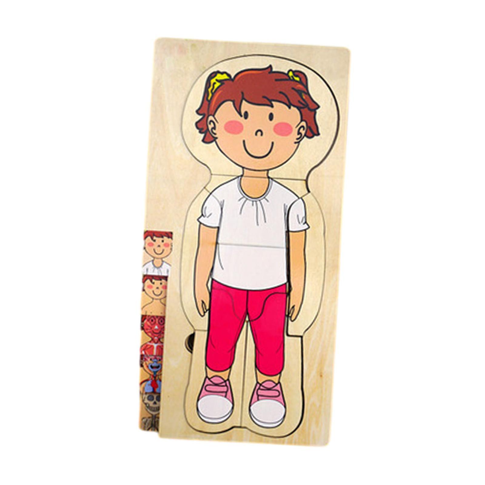 Wooden Human Body Puzzle Toys Human Body Parts Puzzle For Preschool Children Girl