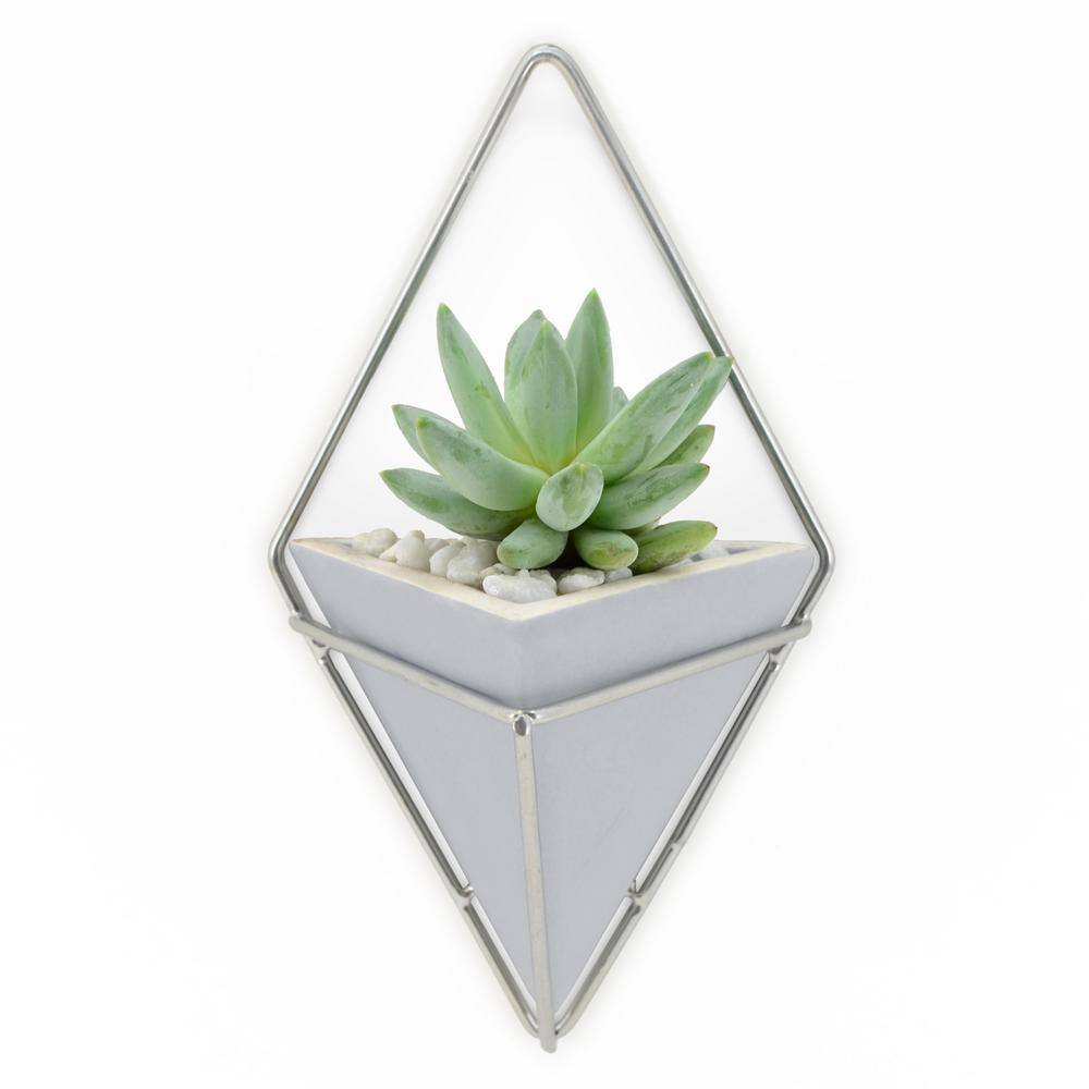 Arcadia Garden Products Diamond 6 in. x 10 in. Light Gray Matte Ceramic Wall Planter WP35LG