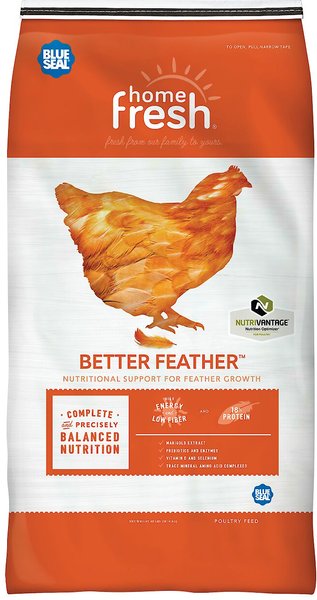 Blue Seal Home Fresh Better Feather Chicken Feed， 40-lb bag