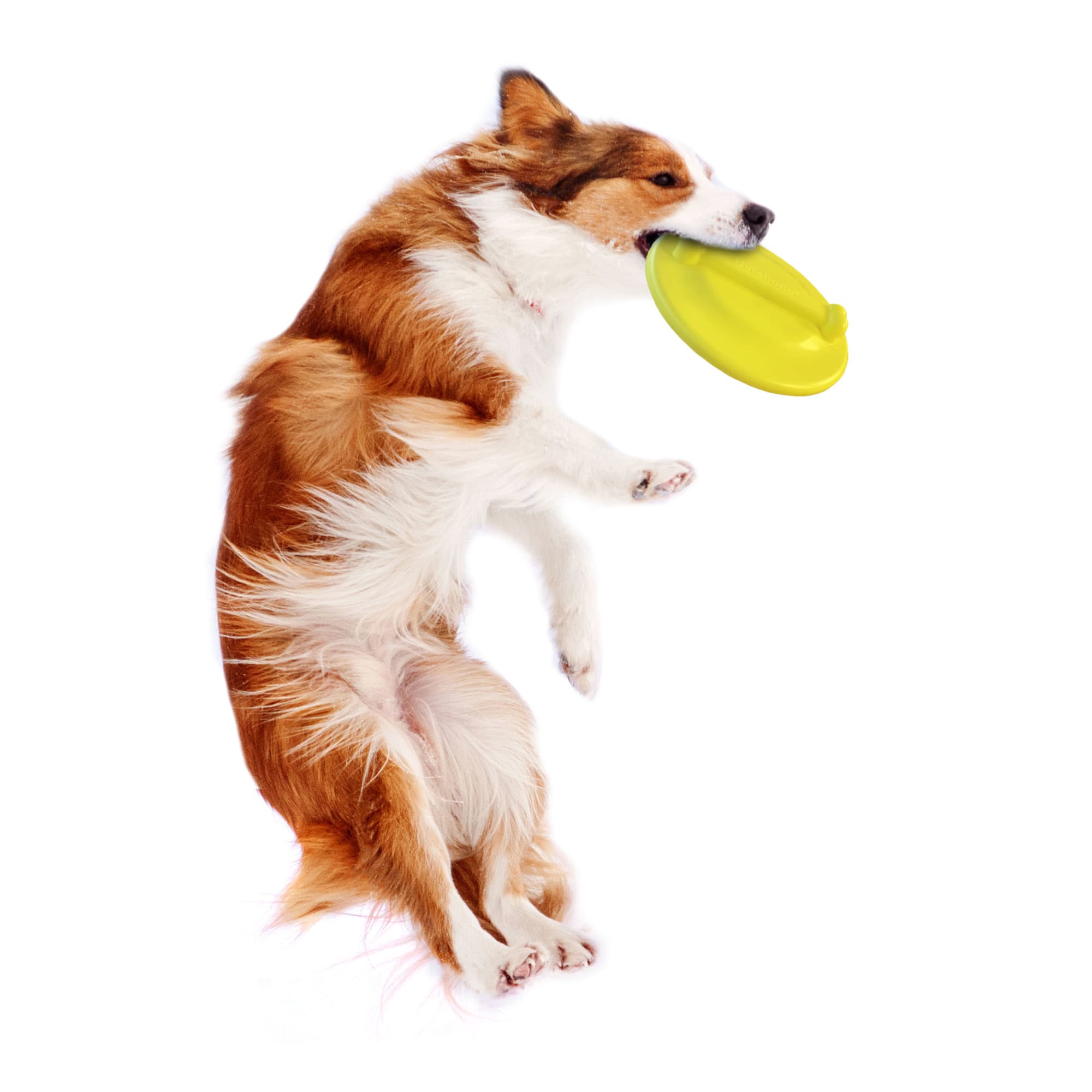 Nylabone Power Play Gripz Ultra Glider Flying Disc Dog Toy， Large