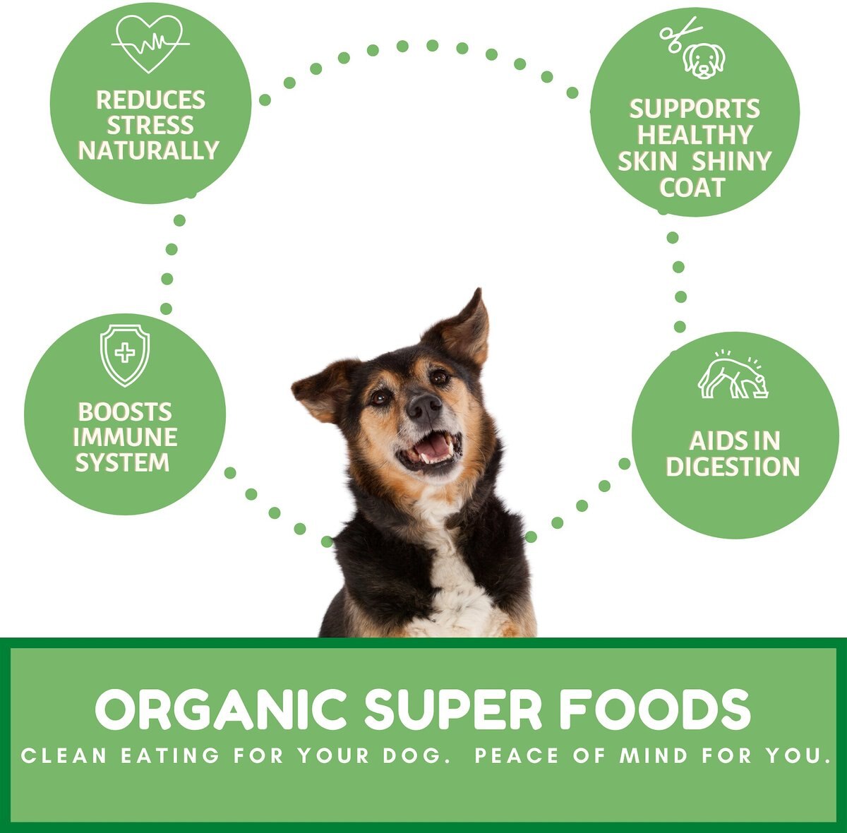 Dog Mamma’s Organic Sweet Potato and Kale Bites Dog Treats